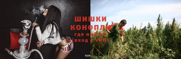 винт Бородино