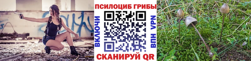 Галлюциногенные грибы GOLDEN TEACHER  Горно-Алтайск 